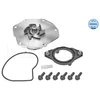 Image de Pompe À Eau Meyle-Original Quality Meyle 5132200006 Land Rover;Volvo