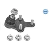 Image de Rotule De Suspension Meyle-Original Quality Meyle 11160100026 Citroen;Opel;Peugeot