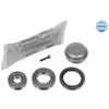 Image de Roulement De Roue 014 033 0062 Meyle Meyle 0140330062 Mercedes-Benz