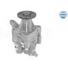 Image de Pompe Hydraulique, Direction Meyle-Original: True To Oe. Meyle 3146310024 Bmw