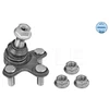 Image de Rotule De Suspension Meyle-Original: True To Oe. Meyle 31160100022 Honda
