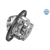 Image de Thermostat, Liqiuide De Refroidissement Meyle-Original: True To Oe. Meyle 16282280014 Dacia;Renault