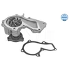 Image de Pompe À Eau, Refroidissement Moteur Meyle 7132200021 Ford