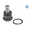 Image de Rotule De Suspension Meyle-Original: True To Oe. Meyle 28160100016 Kia