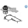 Image de Pompe À Eau, Refroidissement Moteur Meyle 16132200032 Dacia;Mercedes-Benz;Nissan;Renault