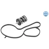 Image de Thermostat, Liquide De Refroidissement Meyle 1282280025 Audi;Seat;Skoda;Volkswagen