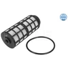 Image de Filtre À Carburant Meyle 2143230010 Iveco