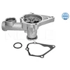 Image de Pompe À Eau Meyle-Original Quality Meyle 32130970005 Hyundai;Mitsubishi