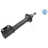 Image de Amortisseur Meyle-Original Quality 16-26 613 0008 Meyle 16266130008 Renault