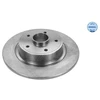 Image de Disque De Frein Meyle 16155230017 Renault