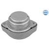 Image de Suspension, Boîte Automatique Meyle-Original Quality Meyle 1001300011 Audi;Skoda;Volkswagen