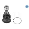 Image de Rotule De Suspension Meyle-Original Quality Meyle 36160100043 Nissan