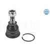 Image de Rotule De Suspension Meyle-Original Quality Meyle 36160100045 Nissan