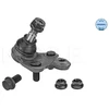 Image de Rotule De Suspension Meyle-Original Quality Meyle 30160100042 Toyota