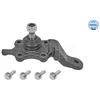 Image de Rotule De Suspension Meyle-Original Quality Meyle 30160100045 Toyota