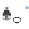 Image de Rotule De Suspension Meyle-Original Quality Meyle 37160100006 Hyundai;Kia