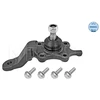 Image de Rotule De Suspension Meyle-Original Quality Meyle 30160100050 Toyota