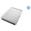 Image de Filtre, Air De L'Habitacle Meyle-Original: True To Oe. 012 319 0038 Meyle 0123190038 Mercedes-Benz;Volkswagen