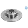 Image de Disque De Frein Meyle 16155230004 Renault