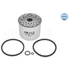 Image de Filtre À Carburant Meyle-Original: True To Oe. Meyle 1003230007 Audi;Citroen;Fiat;Ford;Lada;Peugeot;Renault;Seat;Suzuki;Volkswagen;Volvo