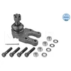 Image de Rotule De Suspension Meyle-Original Quality Meyle 36160100050 Ford;Nissan
