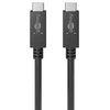 Image de Câble USB 3.2 Gen. 2x2 Type C (M/M)