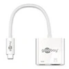 Image de GENERIQUE Adaptateur vidéo externe USB-C HDMI blanc