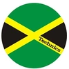 Image de Accessoires DJ JAMAIKA Accessoires vinyle
