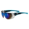Image de Lunettes Uvex Sgl204 One Size