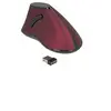 Image de - Souris verticale - ergonomique - pour droitiers - optique - 5 boutons - sans fil - 2.4 GHz - récepteur sans fil USB - noir/rouge - Pour la vente au