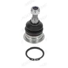 Image de Rotule De Suspension Hy-Bj-4920 Moog Moog Hybj4920 Hyundai;Kia