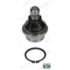 Image de Rotule De Suspension Ni-Bj-4926 Moog Moog Nibj4926 Nissan
