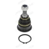 Image de Rotule De Suspension Bm-Bj-10485 Moog Moog Bmbj10485 Mini