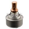 Image de Thermostat Swag 60909328 Renault