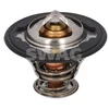 Image de Thermostat Swag 85917355 Honda