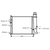 Image de Radiateur, Refroidissement Du Moteur Pe2073 Ava Quality Cooling Ava Quality Cooling Pe2073 Peugeot