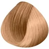 Image de Crème à Nuancer BlondMe 60ml Professional