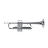 Image de Roy Benson Pro Series Trompette en Ut TR-402C laiton verni