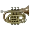 Image de Roy Benson Student Series Trompette de poche Sib PT-101G