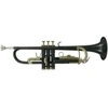 Image de Roy Benson Student Series Trompette en Sib TR-101K anthracite