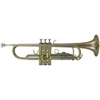 Image de Roy Benson Student Pro Series Trompette en Sib TR-202G