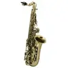 Image de Saxophones ROY BENSON AS-201 - POUR ENFANT (VERNI) Saxophone Alto étude
