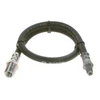 Image de Flexible De Frein Bosch Bh1393 Iveco
