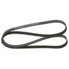 Image de Multi-Couronnes Bosch 6pk1565 Citroen;Fiat;Peugeot