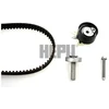 Image de Kit De Distribution 20-1269-M14 Hepu Hepu 201269m14 Dacia;Nissan;Renault;Suzuki