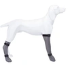 Image de chaussettes de protection en silicone - s : 6 cm-30 cm - gris - pour chien