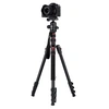 Image de Compact Traveler II