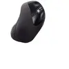 Image de Perimice-515 - souris - USB