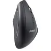 Image de PERIMICE-608 - Souris - pour droitiers - optique - 6 boutons - sans fil - 2.4 GHz - récepteur sans fil USB - noir