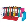 Image de Esselte Classeur en plastique standard, A4, 75 mm, assortis